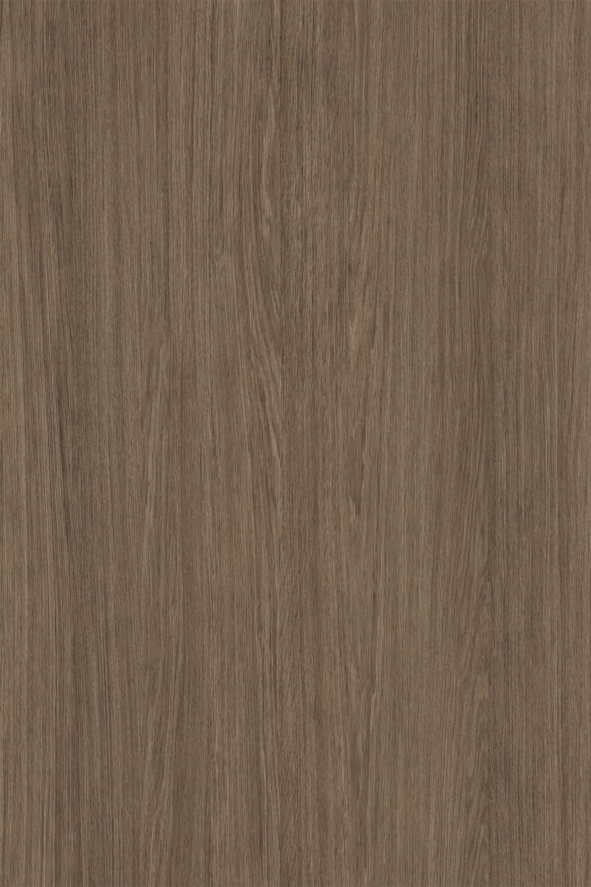 Umber Oak