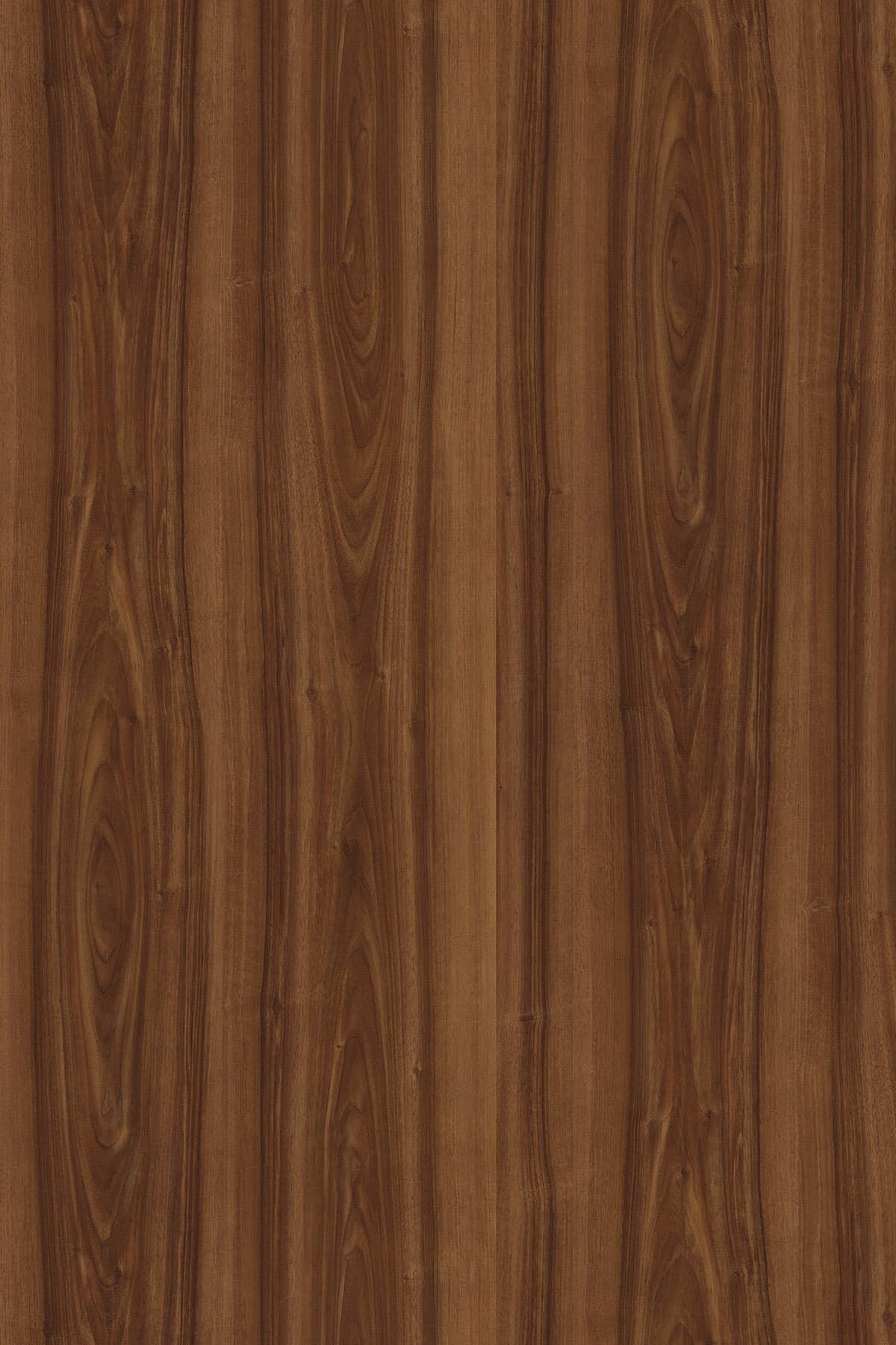 Walnut veneer