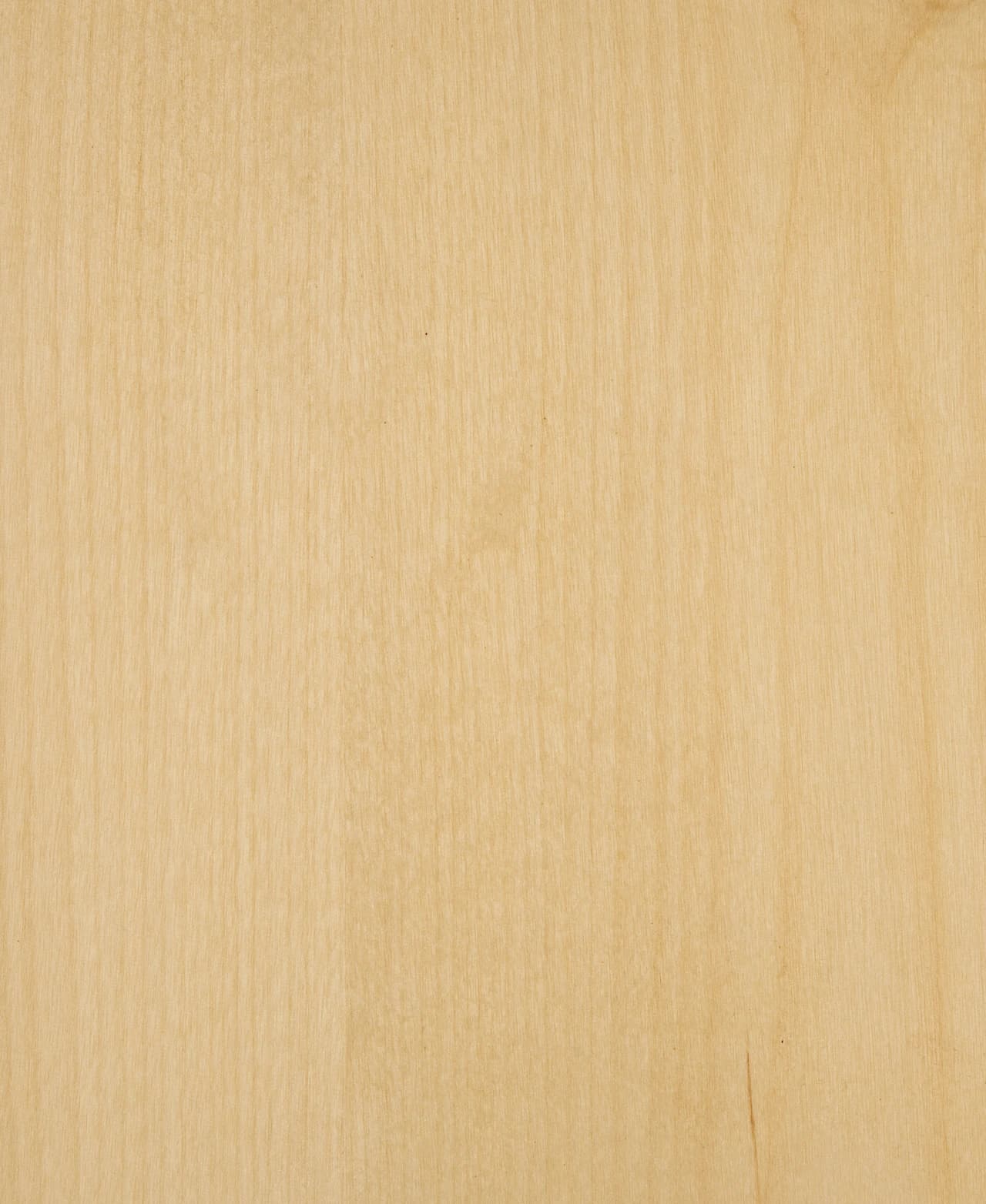 Birch Sliced