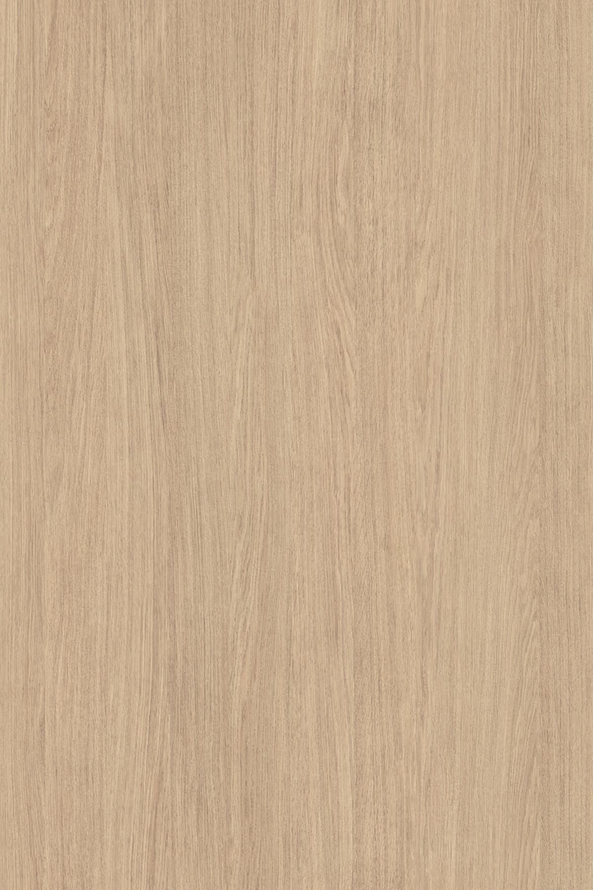 Silk Oak veneer