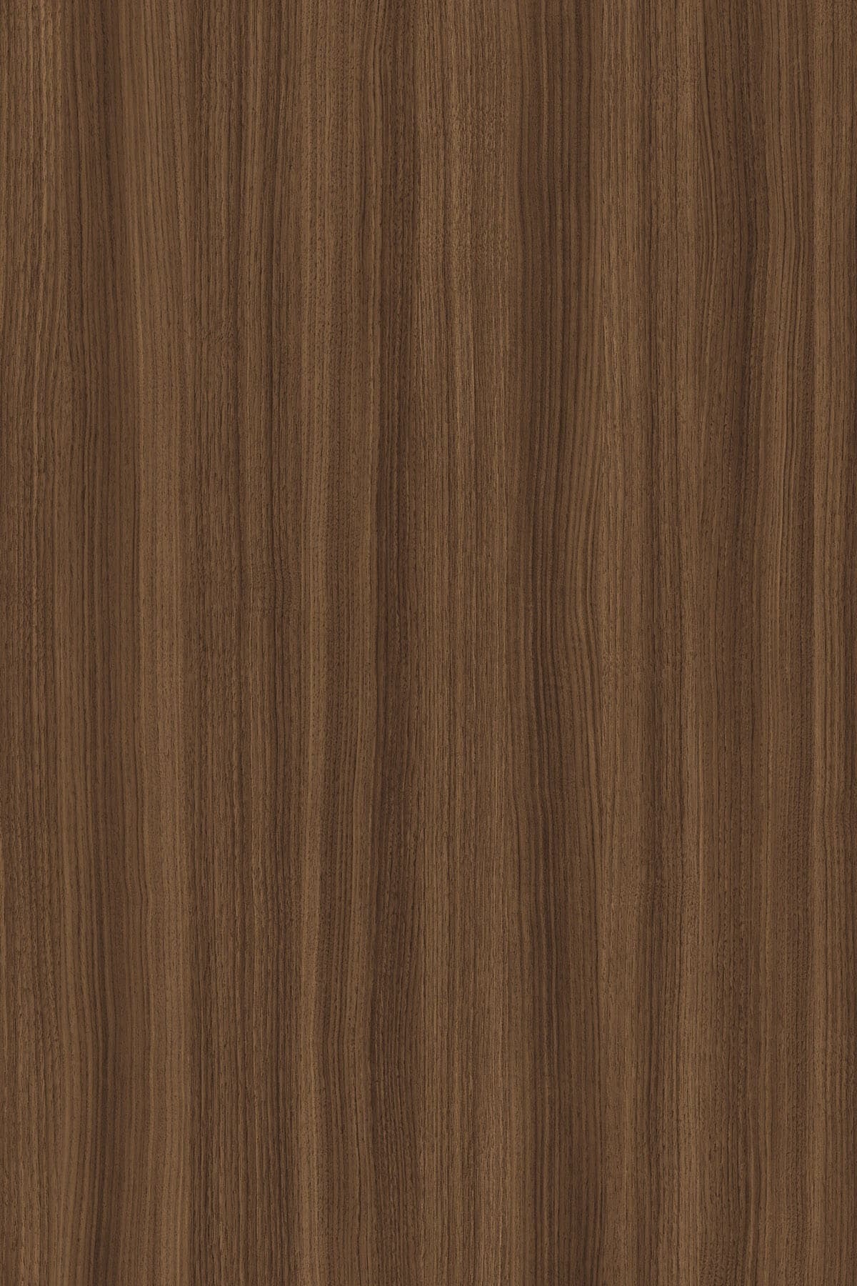 Tobacco Walnut veneer on rWood Groove acoustic panel