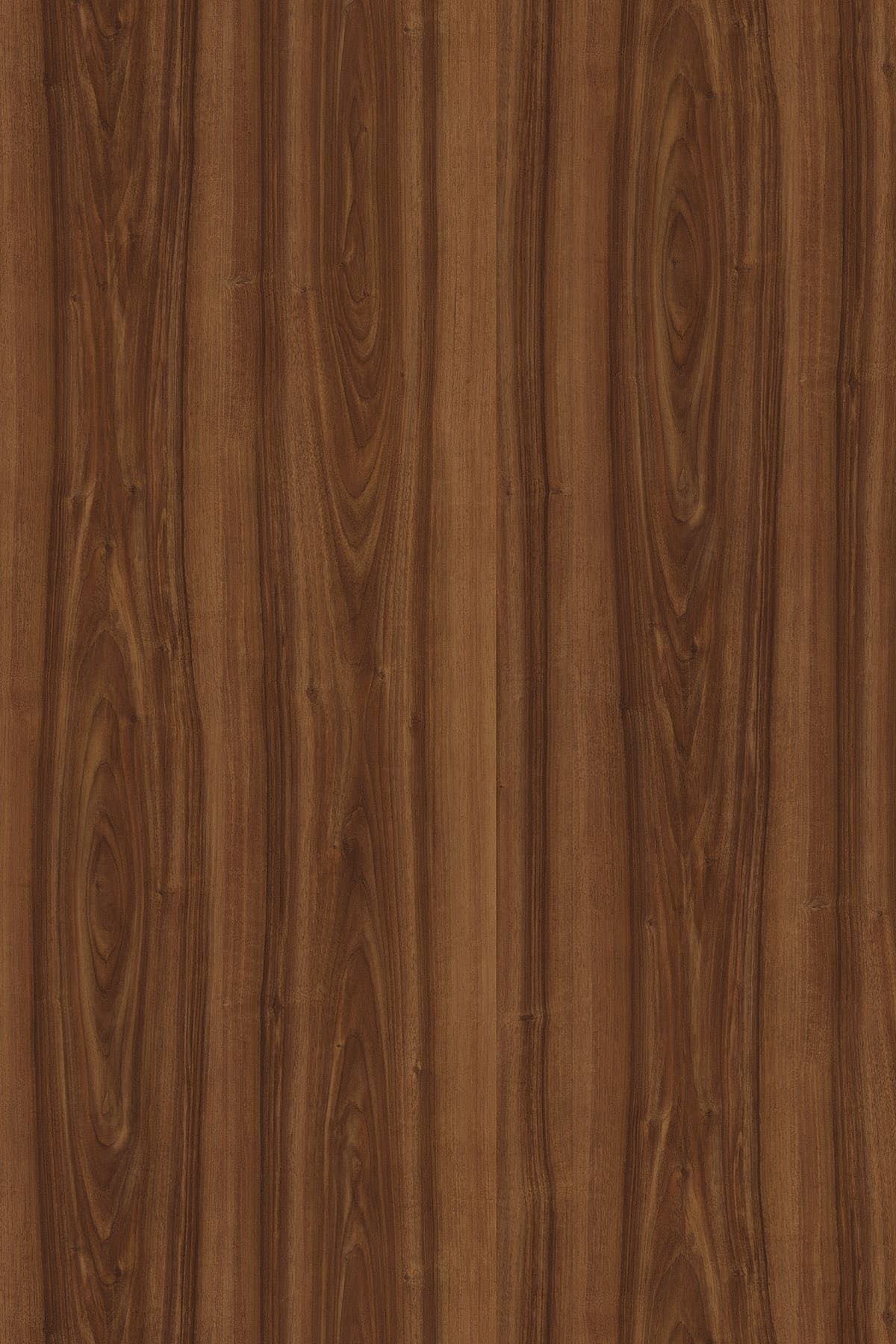Walnut veneer