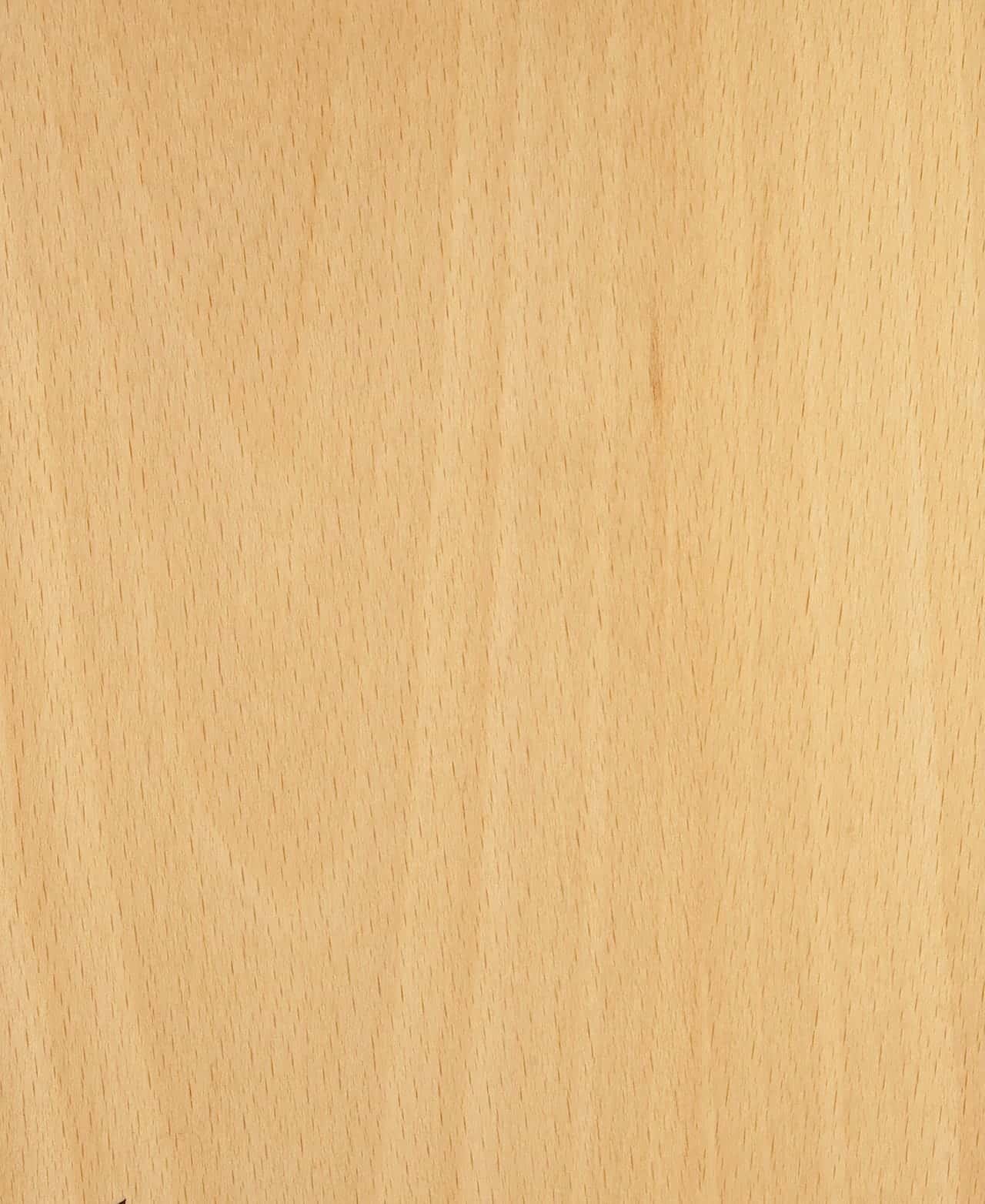 Beech White Ash veneer